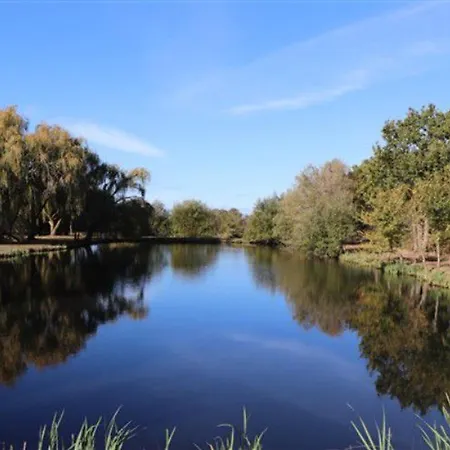 Mobil Avec Terrasse A - Api-1-52-407